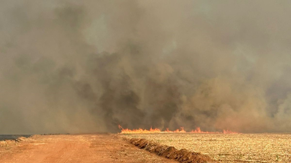 Incêndio de grandes proporções atinge área de cana-de-açúcar entre Flórida Paulista e Adamantina