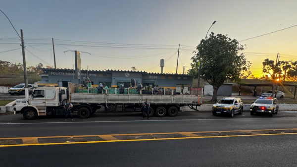 Polícia Rodoviária apreende quase 8 toneladas de maconha na SP-294, em Adamantina