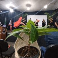 WhatsApp Image 2025 11 11 At 13.02.39