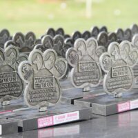 WhatsApp Image 2025 11 11 At 13.41.41