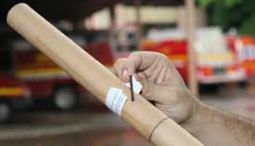 Fogos de artifícios com estampido são risco para animais e pessoas