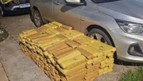 Homem é preso com mais de 440 quilos de maconha na Rodovia Arlindo Béttio, em Rosana