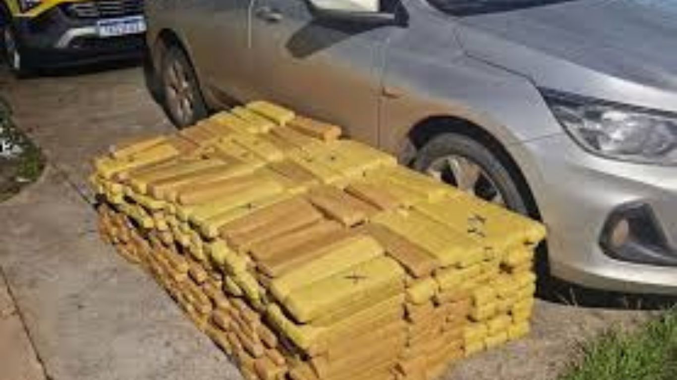 Homem é preso com mais de 440 quilos de maconha na Rodovia Arlindo Béttio, em Rosana