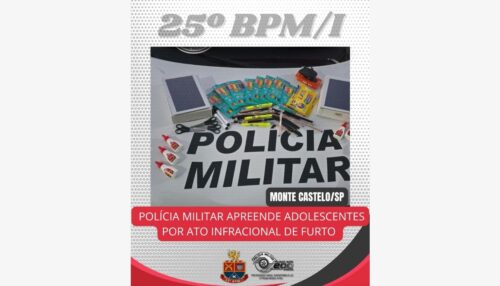 POLÍCIA MILITAR APREENDE ADOLESCENTES POR ATO INFRACIONAL DE FURTO EM MONTE CASTELO