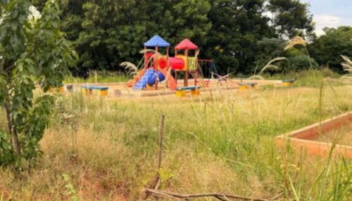 MATO ALTO EM ÁREAS PÚBLICAS GERA QUEIXAS E ALERTA PARA RISCO DE ESCORPIÕES EM ADAMANTINA