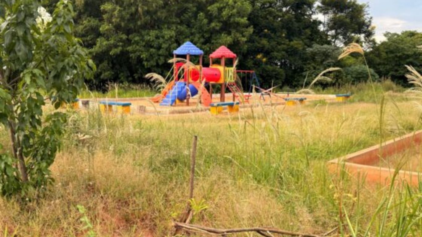 MATO ALTO EM ÁREAS PÚBLICAS GERA QUEIXAS E ALERTA PARA RISCO DE ESCORPIÕES EM ADAMANTINA