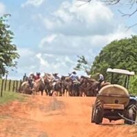 WhatsApp Image 2026 01 10 At 21.24.43