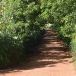 Prefeitura de Adamantina emite ordem de serviço para início da pavimentação asfáltica que interliga Jardim Brasil ao Parque Itamaraty