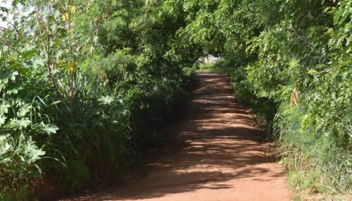 Prefeitura de Adamantina emite ordem de serviço para início da pavimentação asfáltica que interliga Jardim Brasil ao Parque Itamaraty