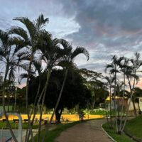 WhatsApp Image 2026 01 16 At 15.16.36