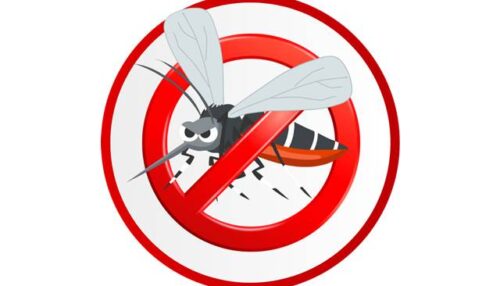 Equipes do Departamento de Controle de Vetores realizam visita casa a casa para combater o mosquito Aedes Aegypti