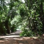 Prefeitura de Adamantina executa diferentes ações de manutenção e melhoria na infraestrutura na zona rural