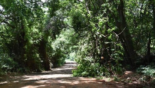 Prefeitura de Adamantina executa diferentes ações de manutenção e melhoria na infraestrutura na zona rural