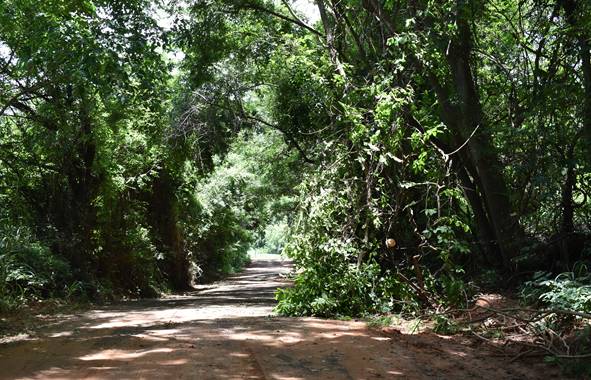Prefeitura de Adamantina executa diferentes ações de manutenção e melhoria na infraestrutura na zona rural
