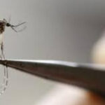 Adamantina entra em alerta máximo com alto risco de dengue, zika e chikungunya