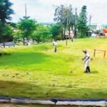 Prefeitura de Adamantina contrata empresa para reforçar roçagem de áreas públicas