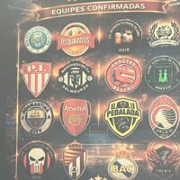 WhatsApp Image 2026 02 11 At 15.05.19