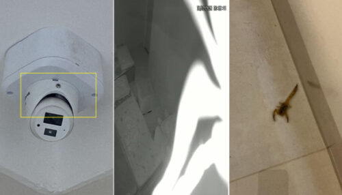 Escorpião cai de câmera no quarto de bebê e assusta família em Adamantina