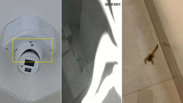 Escorpião cai de câmera no quarto de bebê e assusta família em Adamantina