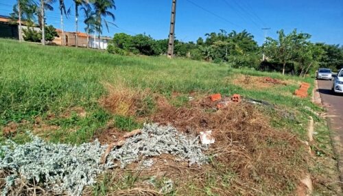 Manter terrenos limpos, livres de entulho, lixo e materiais de construção é uma medida de proteção à saúde pública em Adamantina