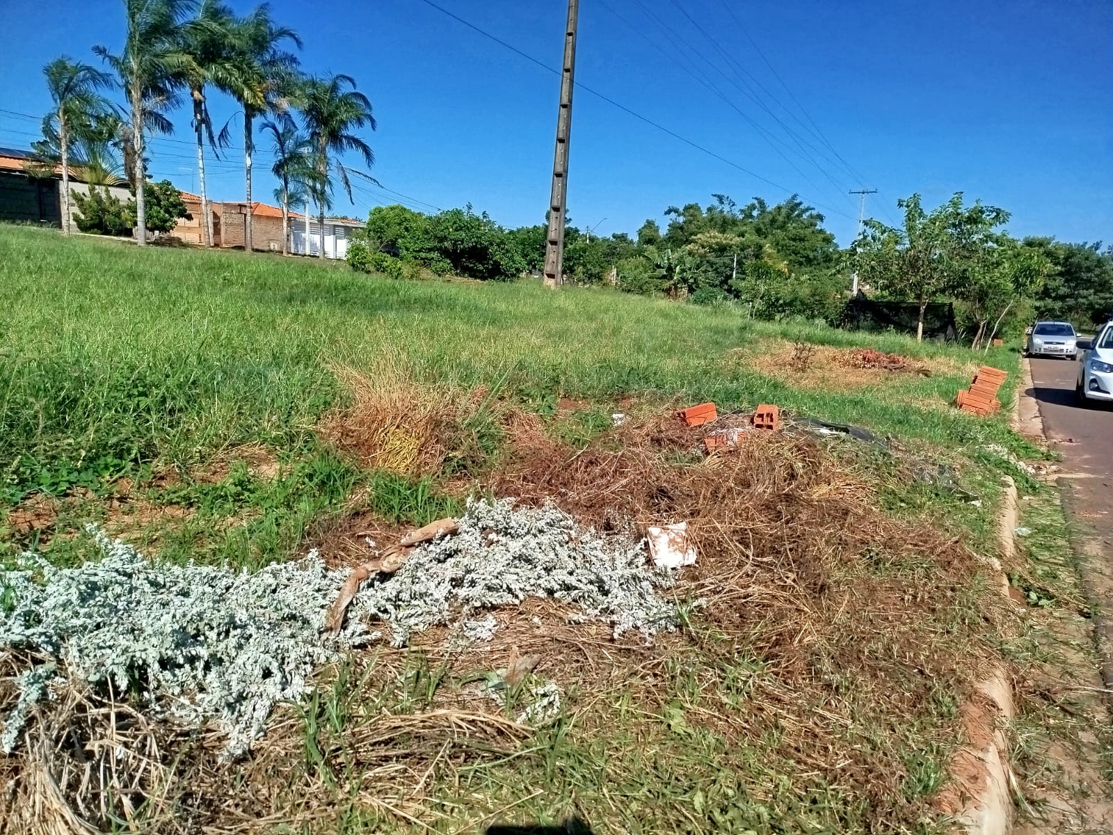 Manter terrenos limpos, livres de entulho, lixo e materiais de construção é uma medida de proteção à saúde pública em Adamantina