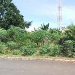 Prefeitura de Adamantina já notificou 980 proprietários de terrenos