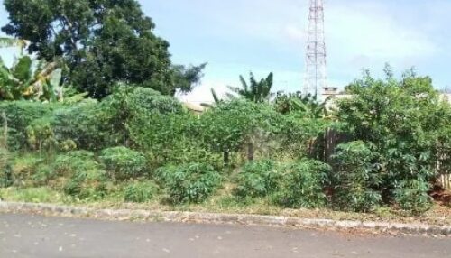 Prefeitura de Adamantina já notificou 980 proprietários de terrenos