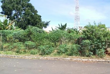 Prefeitura de Adamantina já notificou 980 proprietários de terrenos