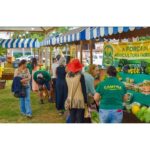 QualiAgro valoriza produção rural em evento neste domingo em Adamantina