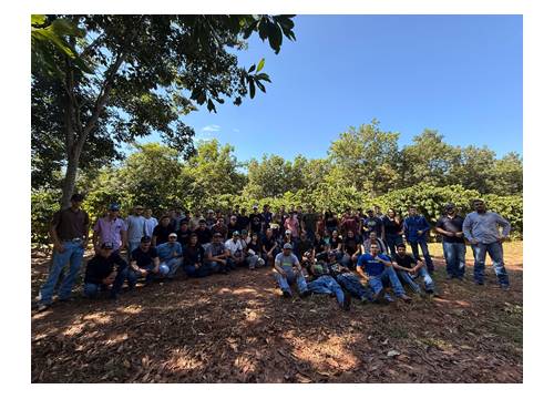 Alunos de Agronomia da FAI vivenciam na prática a cadeia produtiva do café em Adamantina