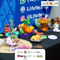 Noticias Feed Responsivo (47)