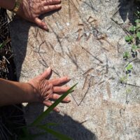 WhatsApp Image 2026 04 06 At 16.33.07