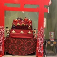 WhatsApp Image 2026 04 11 At 10.45.49