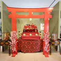 WhatsApp Image 2026 04 11 At 10.45.51