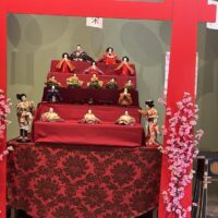 WhatsApp Image 2026 04 11 At 10.45.52