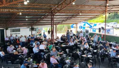Quando o Trabalho Vira Resultado: Leilão Tiveron é destaque no agronegócio regional