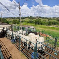 WhatsApp Image 2026 04 20 At 16.33.27 (1)