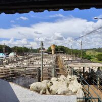 WhatsApp Image 2026 04 20 At 16.33.27 (2)