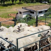 WhatsApp Image 2026 04 20 At 16.33.27