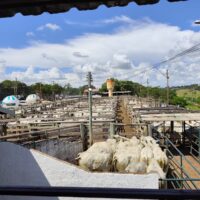 WhatsApp Image 2026 04 20 At 16.33.27 (3)