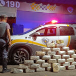 Motorista é preso com 135 kg de maconha na SP-294 em Adamantina; outra ação apreende mais de meia tonelada na região