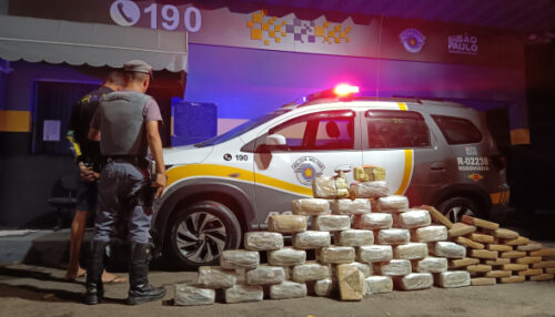 Motorista é preso com 135 kg de maconha na SP-294 em Adamantina; outra ação apreende mais de meia tonelada na região