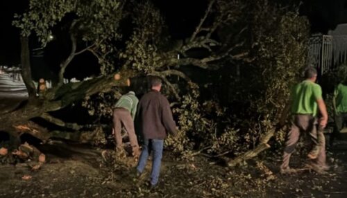 Temporal com ventos fortes provoca danos e falta de energia em Adamantina na noite deste sabado