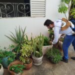 Adamantina confirma 13 casos positivos de dengue