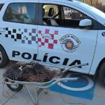 POLÍCIA MILITAR PRENDE INDIVÍDUO POR FURTO DE CABOS ELÉTRICOS EM DRACENA