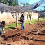 Começa o plantio de mudas do projeto Hortas Urbanas no bairro Mário Covas em Adamantina