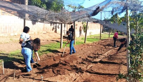Começa o plantio de mudas do projeto Hortas Urbanas no bairro Mário Covas em Adamantina