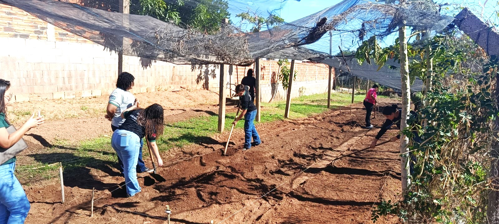 Começa o plantio de mudas do projeto Hortas Urbanas no bairro Mário Covas em Adamantina