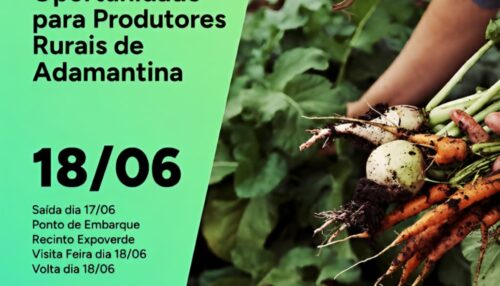 Sebrae promove caravana para participação de produtores de Adamantina na Hortitec 2026 em Holambra