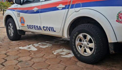 PREFEITURA DE ADAMANTINA REALIZARÁ SUPRESSÃO PREVENTIVA DE ÁRVORES NO BAIRRO ESTÂNCIA DORIGO
